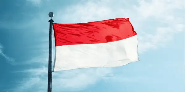 Drapeau de l'Indonésie