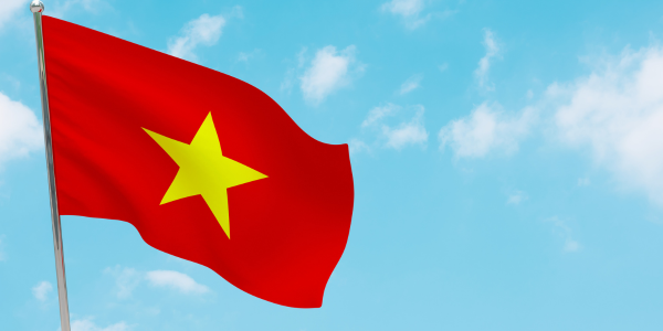 Vietnam Flag